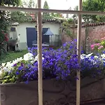 Aria Di Campagna